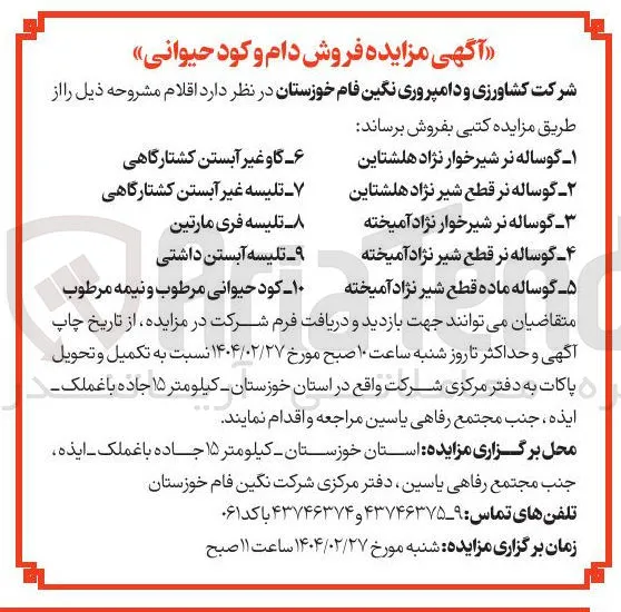 تلیسه فری مارتین 
