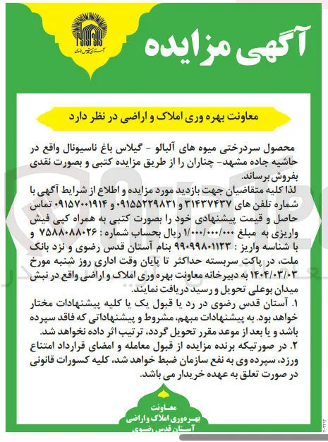 محصول سردرختی میوه های آلبالو - گیلاس باغ 