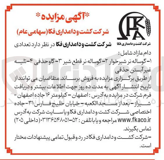 گوساله نر قطع شیر