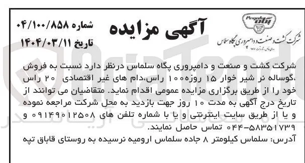  فروش گوساله نر شیر خوار ۱۵ روزه ۱۰۰ راس دامهای غیر اقتصادی ۲۰ راس