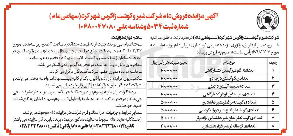 تعدادی گوساله نر شیرخوار هلشتاین 
