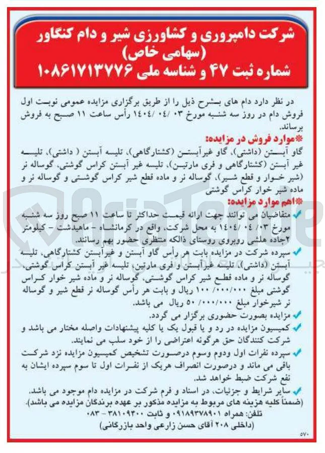فروش دام : گاو آبستن داشتی ) گاو غیر آبستن کشتارگاهی تلیسه آبستن ( داشتی ) ، تلیسه غیر آبستن کشتارگاهی و فری مارتین تلیسه غیر آبستن کراس گوشتی گوساله نر شیر خوار و قطع شیر گوساله نر و ماده قطع شیر کراس گوشتی و گوساله نر و ماده شیر خوار کراس گوشتی