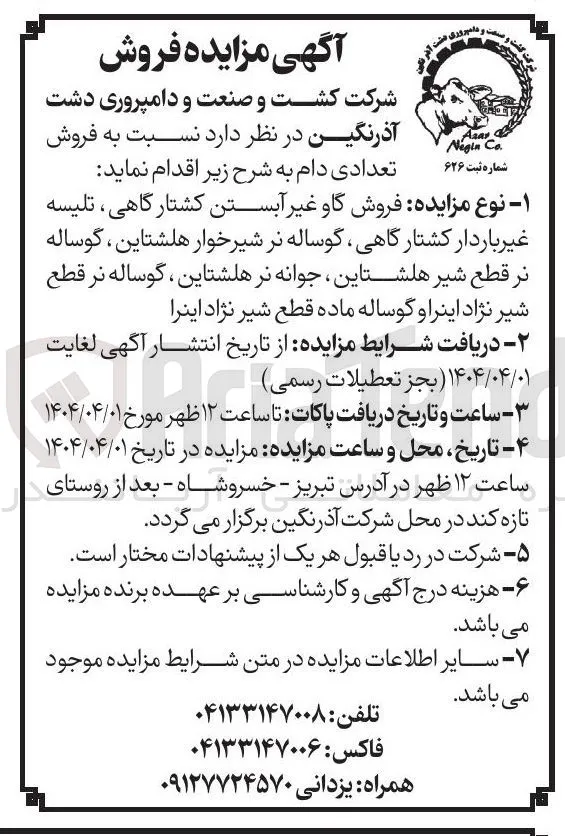  فروش گاو غیر آبستن کشتارگاهی ، تلیسه غیر باردار کشتار گاهی گوساله نر شیرخوار هلشتاین ، گوساله نر قطع شیر هلشتاین جوانه نر هلشتاین ، گوساله نر قطع شیر نژاد اینراو گوساله ماده قطع شیر نژاد اینرا 

