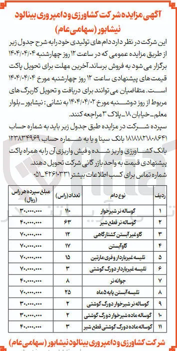 تلیسه آبستن پایه ۵ ماه 
