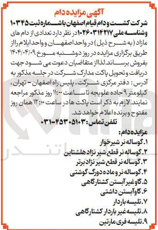 فروش تعدادی از دام های مازاد : گوساله نر شیرخوار - گوساله نرقطع شیر نژاد هلشتاین - گوساله نر قطع شیر نژاد برتر - گوساله نروماده دورگ گوشتی - گاو غیرآبستن کشتارگاهی - گاو آبستن داشتی - تلیسه باردار تلیسه غیر باردار کشتارگاهی - تلیسه فری مارتین