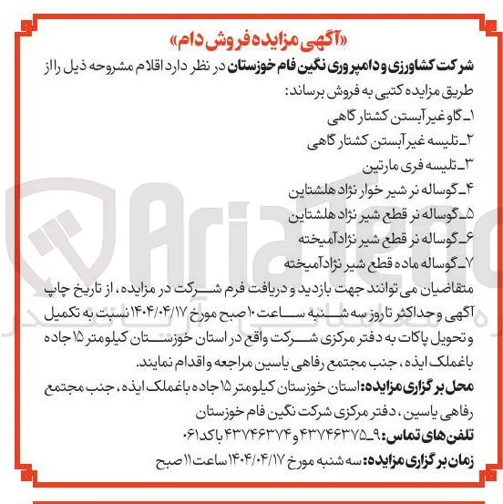 فروش اقلام : گاو غیر آبستن کشتارگاهی - تلیسه غیر آبستن کشتارگاهی - تلیسه فری مارتین - گوساله نر شیر خوار نژاد هلشتاین - گوساله نر قطع شیر نژاد هلشتاین - گوساله ماده قطع شیر نژاد آمیخته 