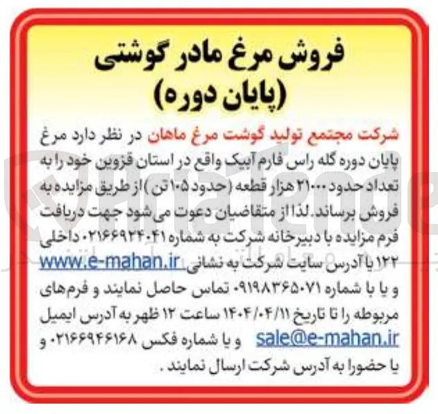 فروش مرغ پایان دوره گله راس فارم آبیک به تعداد حدود ۲۱۰۰۰ هزار قطعه ( حدود ۱۰۵ تن)