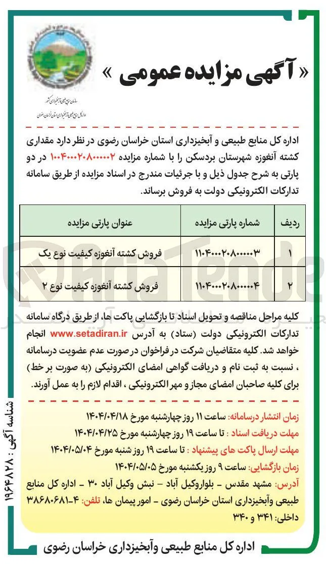 فروش کشته آنغوزه کیفیت نوع ۲ 