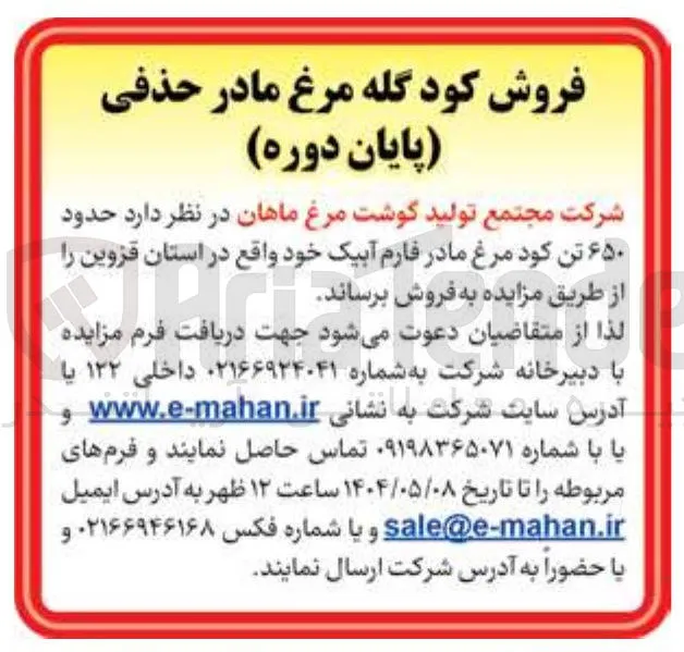 حدود ۶۵۰ تن کود مرغ مادر فارم
