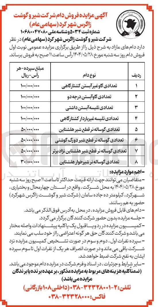 تعدادی گوساله نر شیرخوار هلشتاین 
