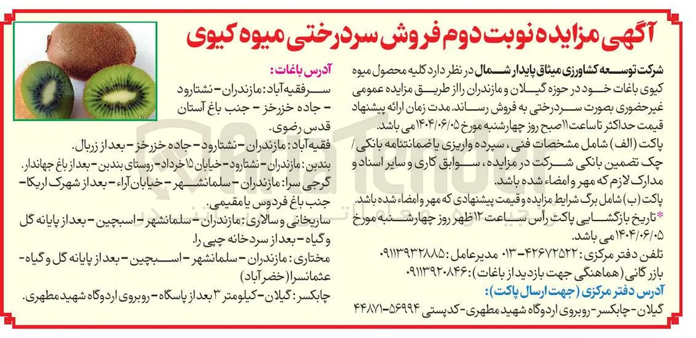 فروش  کلیه محصول میوه کیوی باغات خود