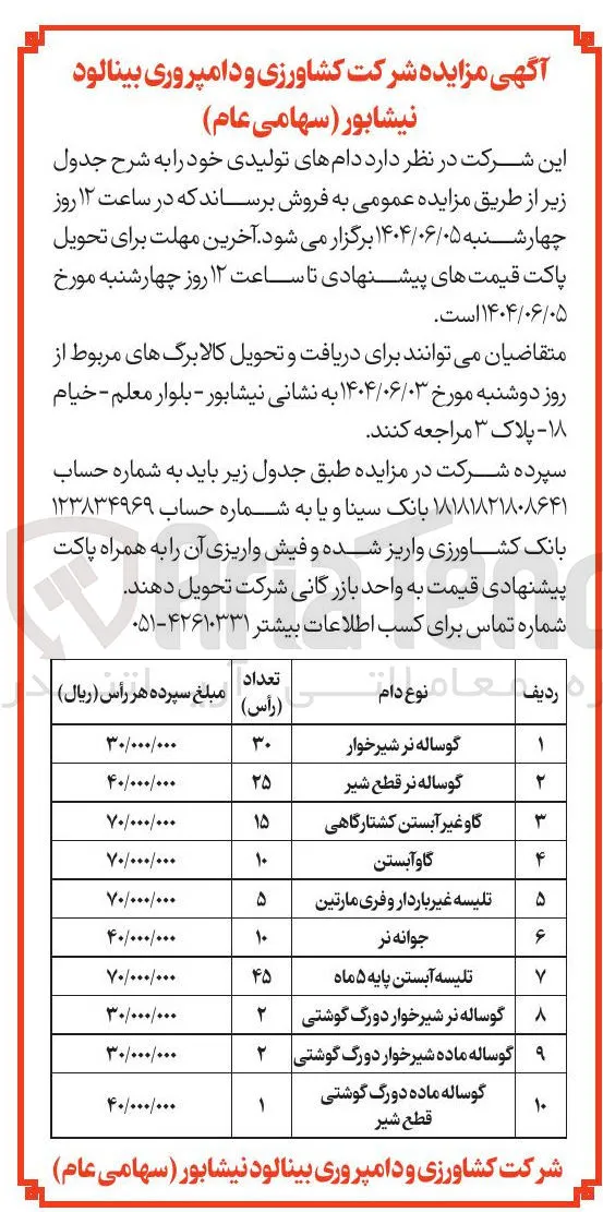 گوساله ماده شیرخوار دورگ گوشتی 
