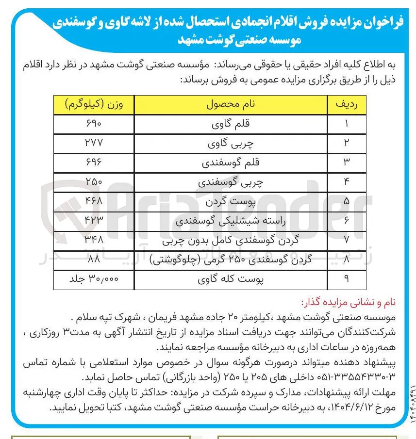 راسته شیشلیکی گوسفندی 
