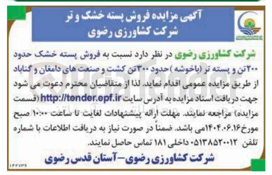 فروش پسته خشک حدود ۲۰۰ تن و پسته تر با خوشه (حدود ۳۰۰ تن)