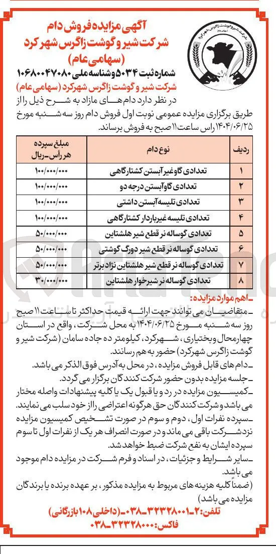 تعدادی گوساله نر قطع شیر هلشتاین 
