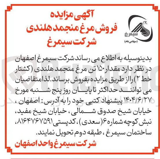 فروش مرغ منجمد هلندی