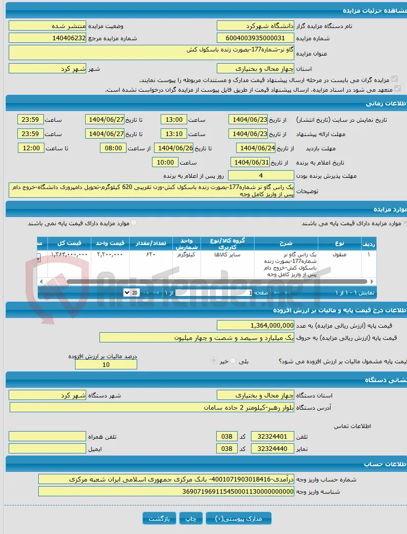 گاو نر-شماره177-بصورت زنده باسکول کش