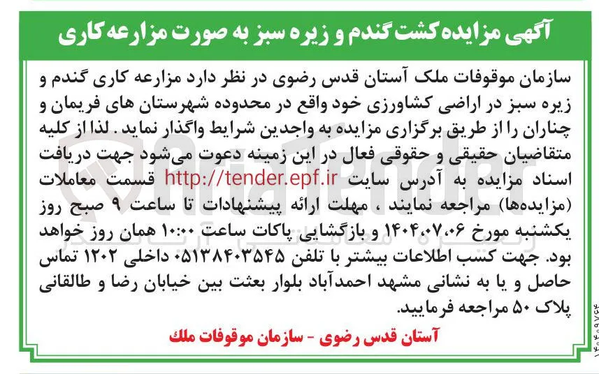 د مزارعه کاری گندم و زیره سبز 