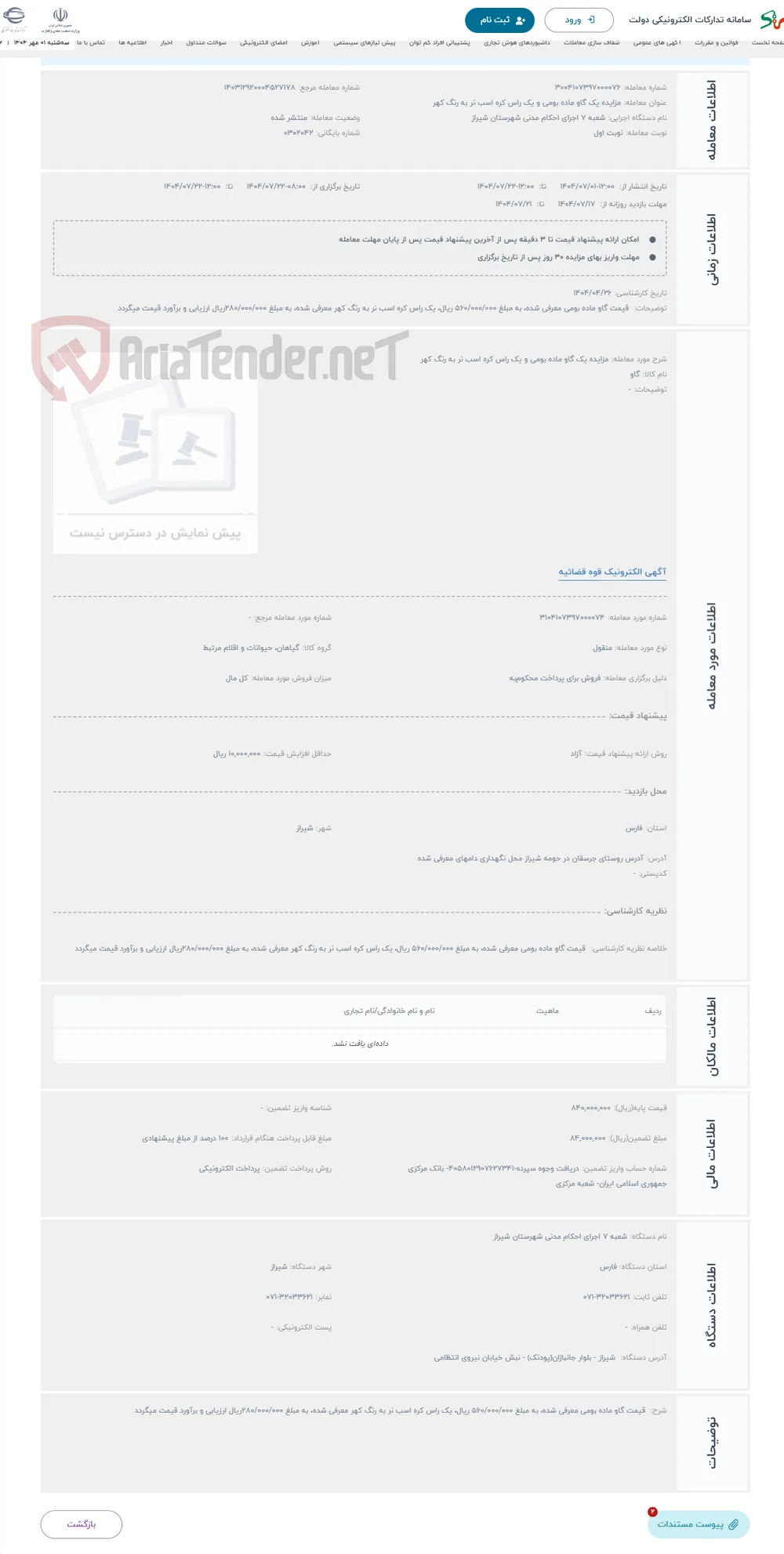 حراج مزایده یک گاو ماده بومی و یک راس کره اسب نر به رنگ کهر