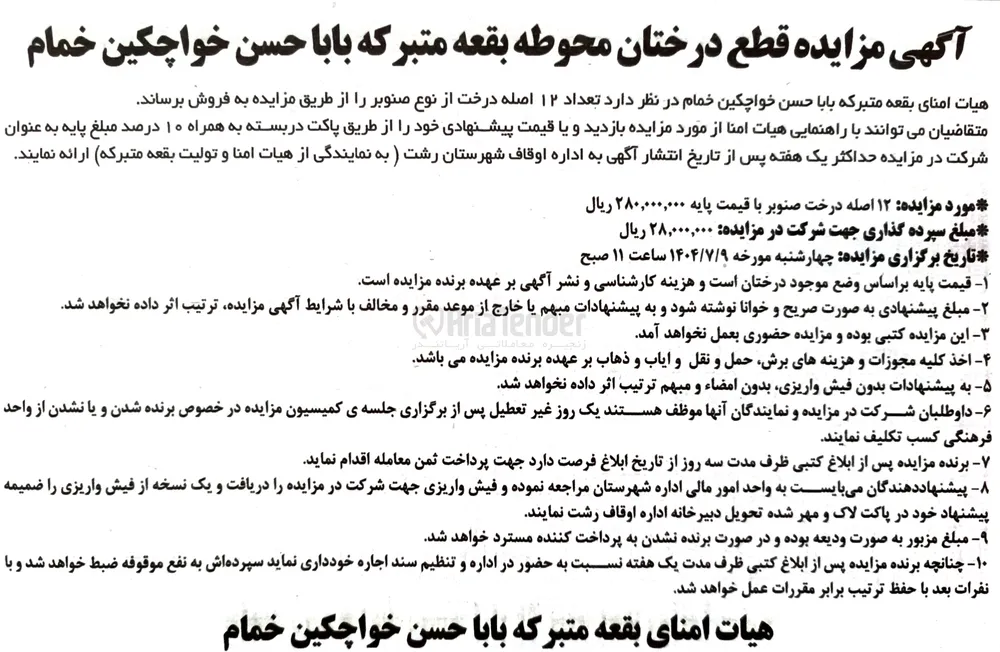 فروش  تعداد ۱۲ اصله درخت از نوع صنوبر