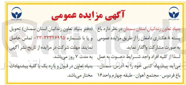 باغ پسته ۸ هکتاری