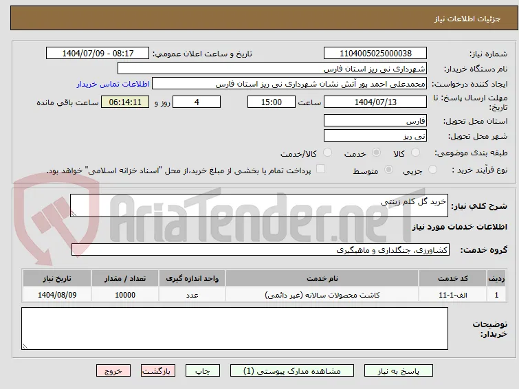 خرید گل کلم زینتی