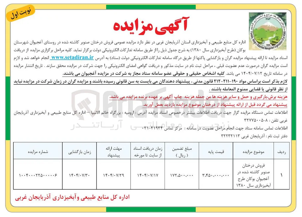 فروش درختان صنوبر کاشته شده 
