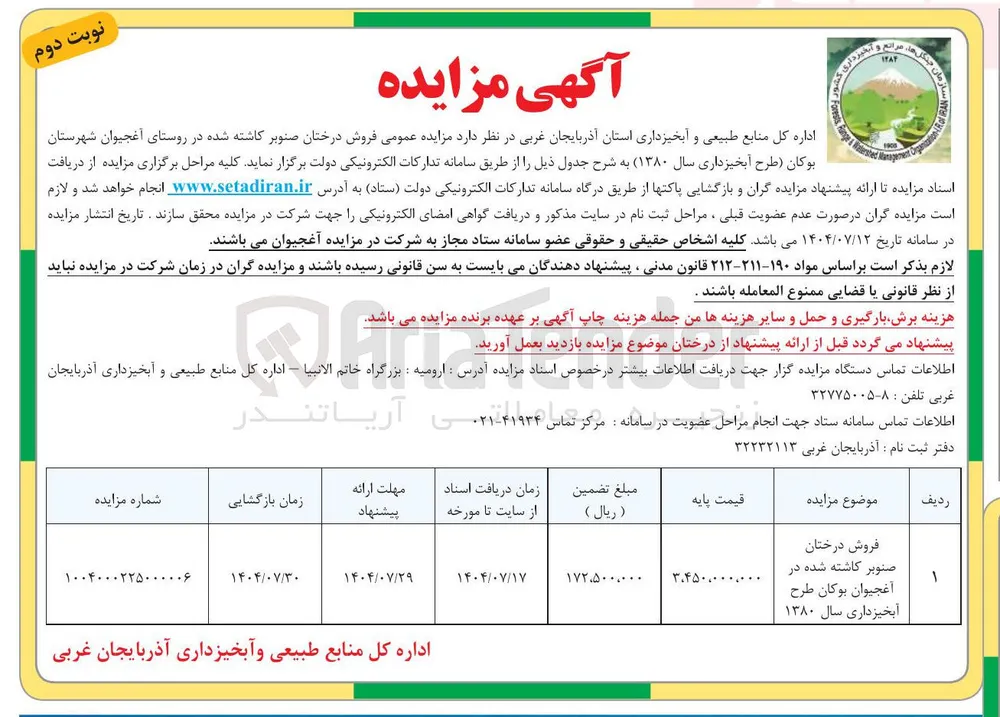  فروش درختان صنوبر کاشته شده 