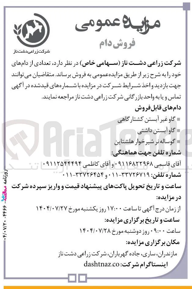 فروش دام های خود : گاو غیر آبستن کشتارگاهی -گاو آبستن داشتی -گوساله نر شیر خوار هلشتاین -شماره تلفن جهت هماهنگی