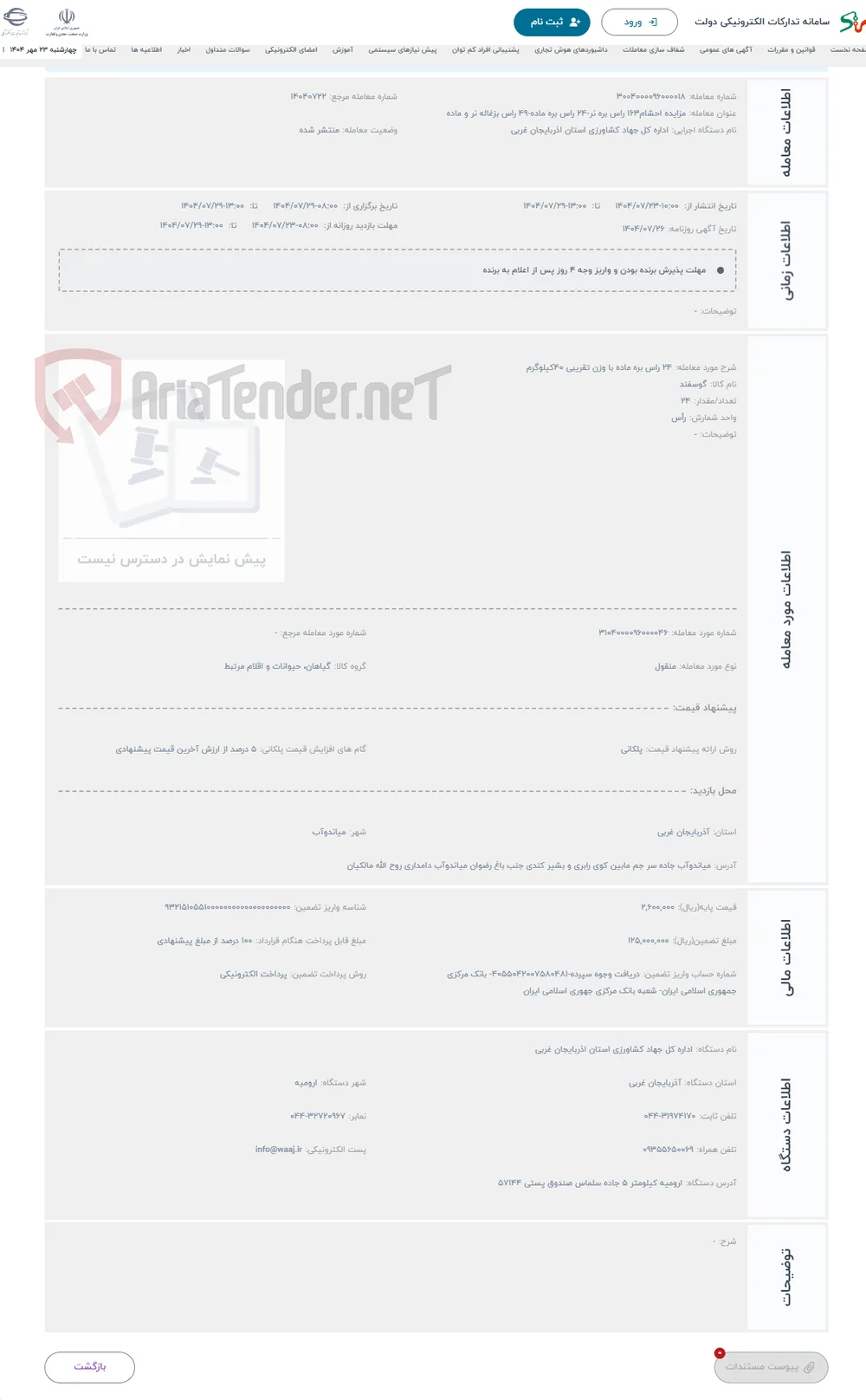 حراج 24 راس بره ماده با وزن تقریبی 40کیلوگرم