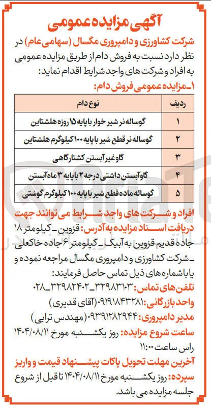 فروش دام