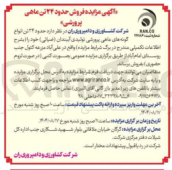 فروش حدود ۲۴ تن ماهی پرورشی 