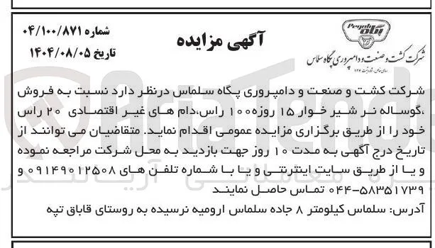 فروش گوساله نر شیر خوار ۱۵ روزه ۱۰۰ راس دام های غیر اقتصادی ۲۰ راس 