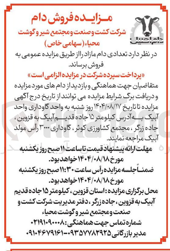 تعدادی دام مازاد