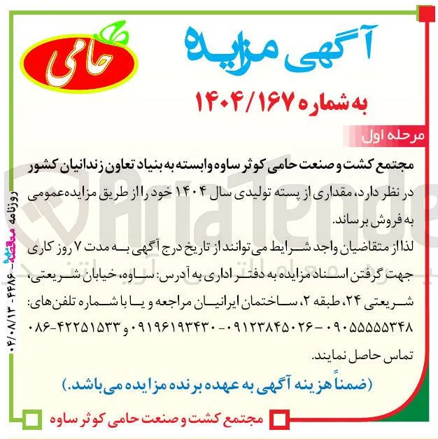 فروش مقداری از پسته تولیدی سال ۱۴۰۴ 