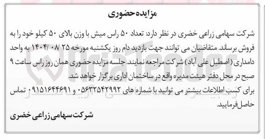 فروش تعداد ۵۰ راس میش با وزن بالای ۵۰ کیلو 