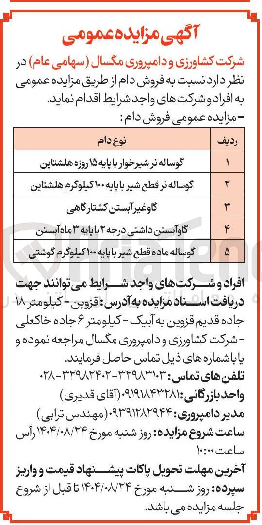 گاو غیر آبستن کشتارگاهی 
