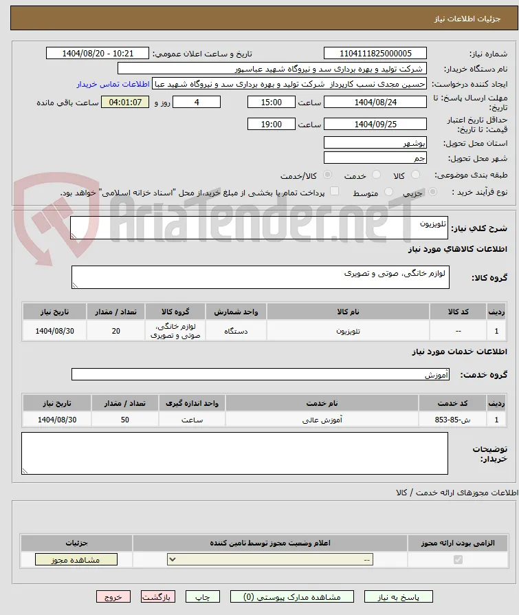 تلویزیون 