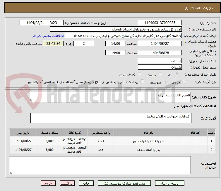 تامین 6000 اصله نهال