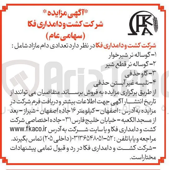 ۳ - گاو حذفی 
