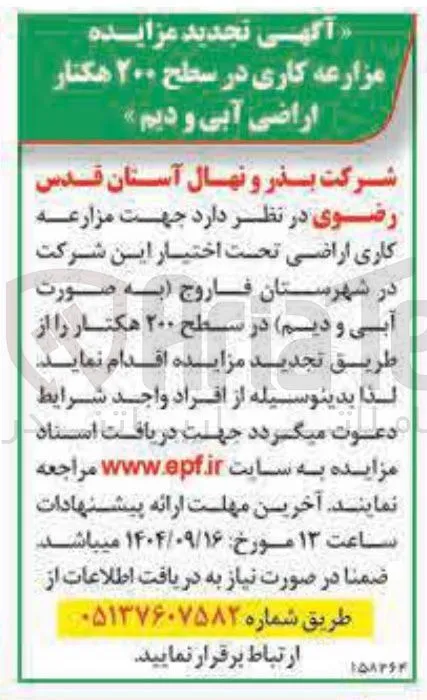 مزارعه کاری در سطح ۲۰۰ هکتار 