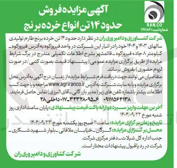 فروش حدود ۱۴ تن خرده برنج طارم تولیدی