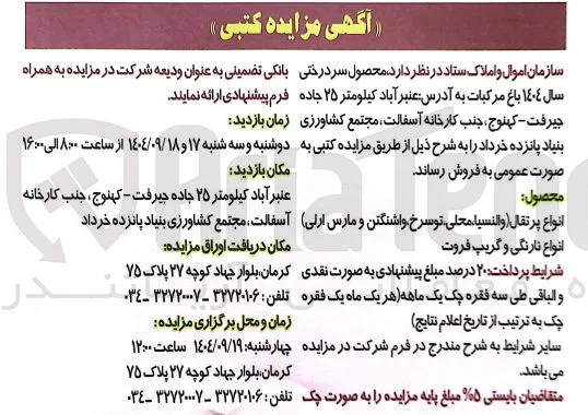 فروش محصول سر درختی سال 1404 باغ مرکبات 