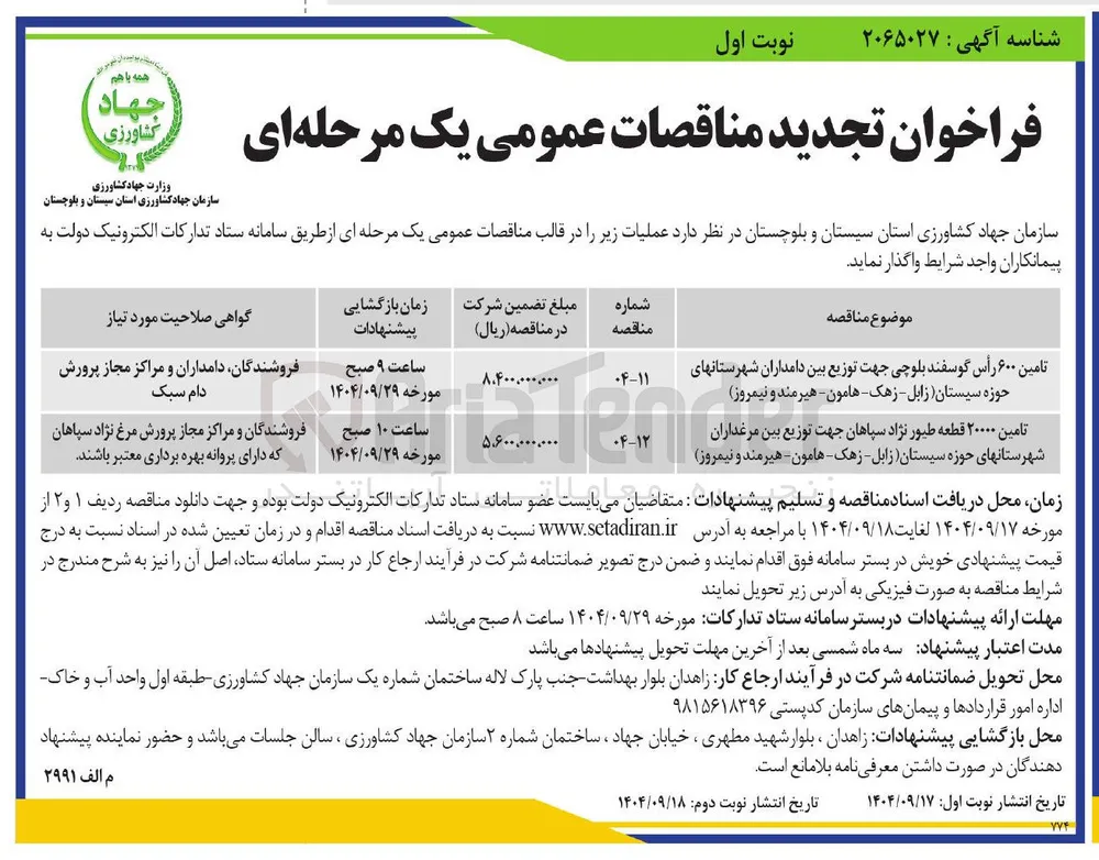 تامین ۶۰۰ رأس گوسفند بلوچی 