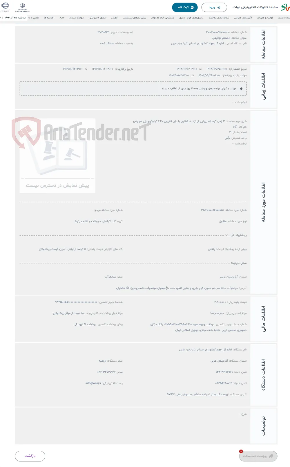 حراج 3 راس گوساله پرواری از نژاد هلشتاین با مزن تقریبی 420 کیلوگرم برای هر راس