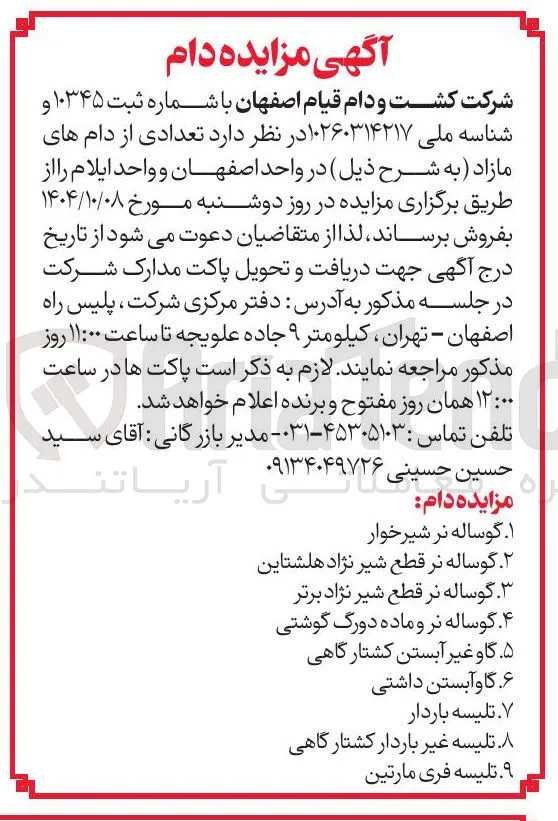 ۲ گوساله نر قطع شیر نژاد هلشتاین 

