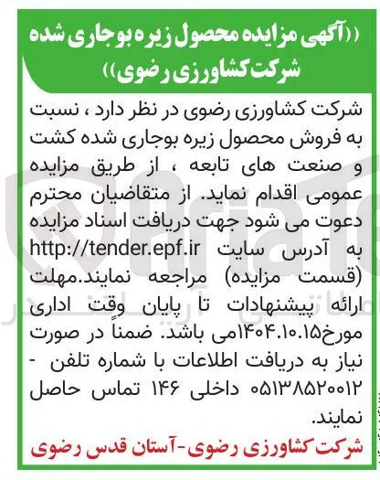  فروش محصول زیره بوجاری شده کشت و صنعتهای تابعه
