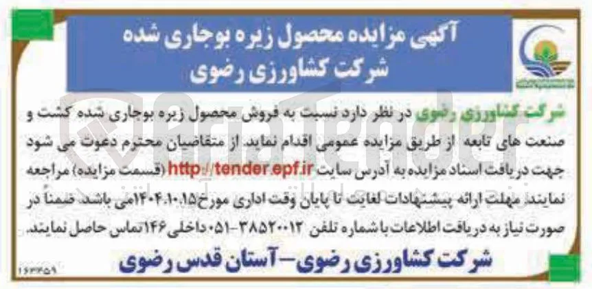 فروش محصول زیره بوجاری شده 