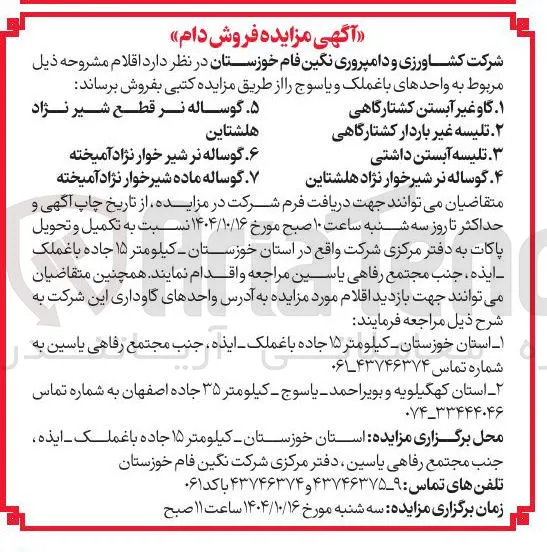 ۲. تلیسه غیر باردار کشتارگاهی 
