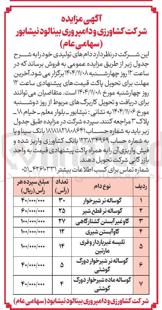 گاو آبستن شیری